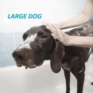 Large Dog Grooming