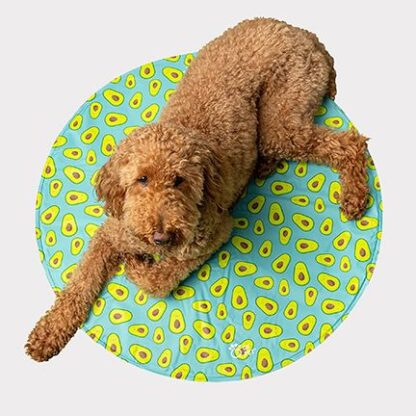 GF Pet – Ice Mat Cooling Mat Small, Round 24″ Green