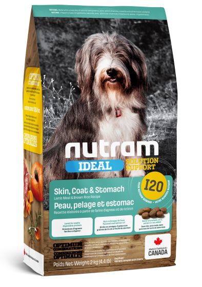 Nutram Dog Food I20 Skin & Coat 4.4lb