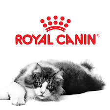 Royal Canin Cat Food Wet & Dry