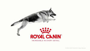 Royal Canin Dog Food Wet & Dry