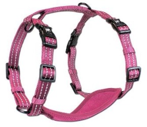 Alcott Adventure Harness large: 8.5" length x 18-26" neck x 27-38" waist | nylon is 1" wide
