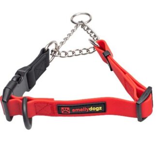 Smellydogz Martingale Collar with buckle 1" - Red, 18-22"
