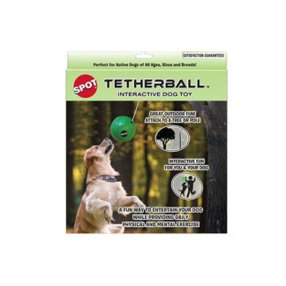 SPOT Tether Ball with Rope Dog Toy